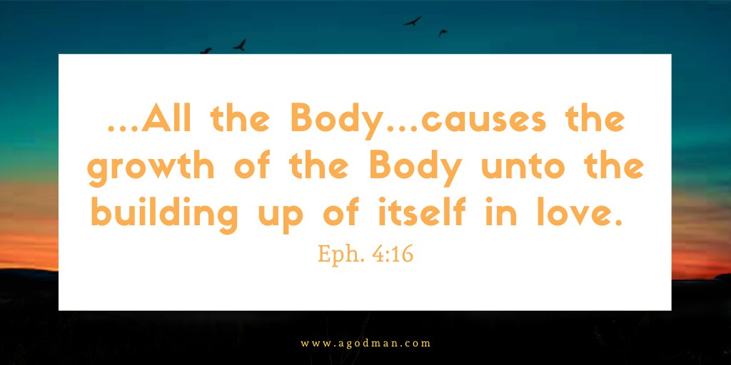 …All the Body…causes the growth of the Body unto the building up of itself in love. Eph. 4:16