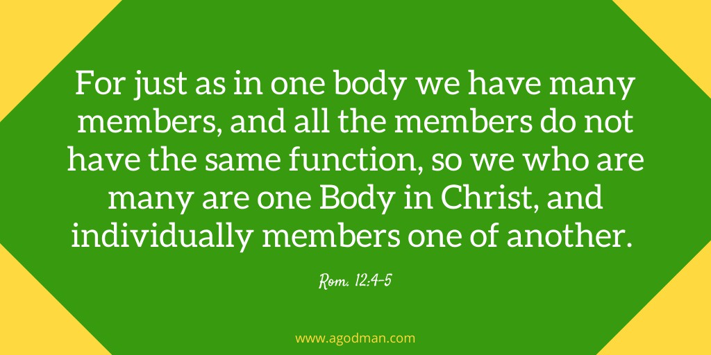 For just as in one body we have many members, and all the members do not have the same function, So we who are many are one Body in Christ, and individually members one of another. Rom. 12:4-5