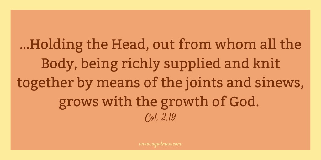 …Holding the Head, out from whom all the Body, being richly supplied and knit together by means of the joints and sinews, grows with the growth of God. Col. 2:19