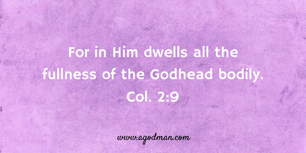 For in Him dwells all the fullness of the Godhead bodily. Col. 2:9