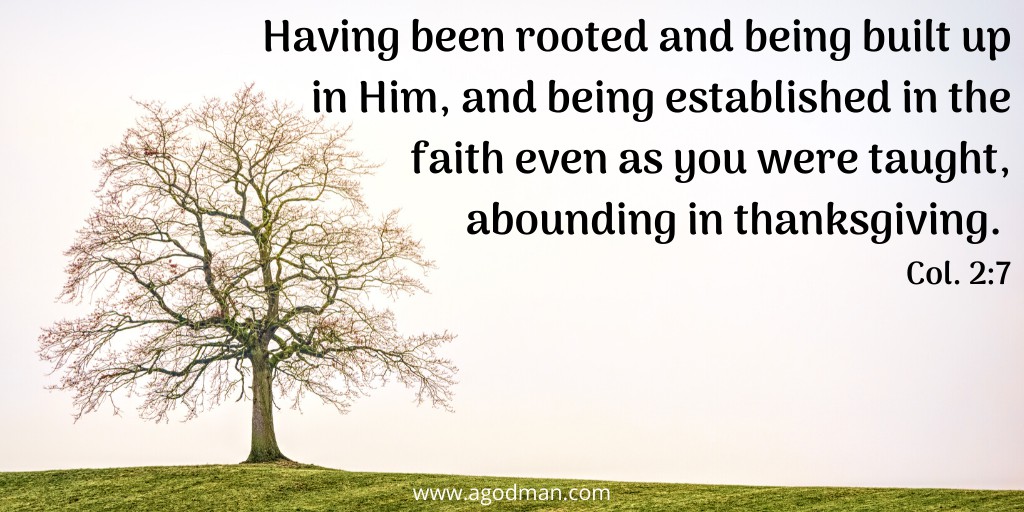 Having been rooted and being built up in Him, and being established in the faith even as you were taught, abounding in thanksgiving. Col. 2:7