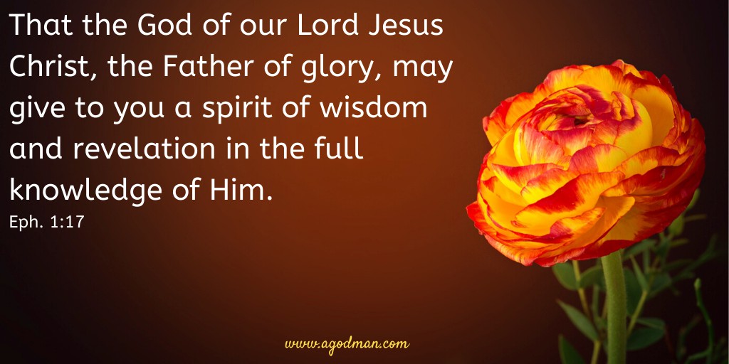 That the God of our Lord Jesus Christ, the Father of glory, may give to you a spirit of wisdom and revelation in the full knowledge of Him. Eph. 1:17