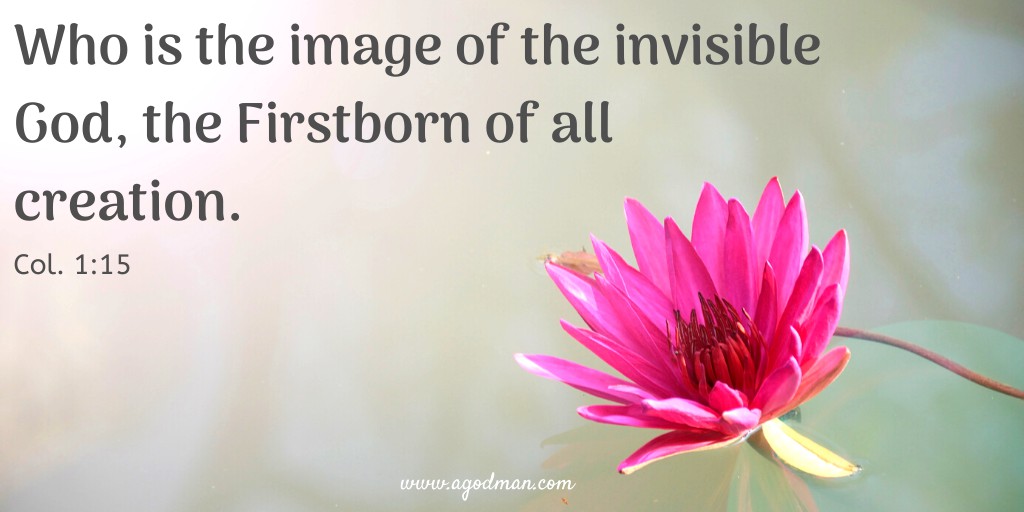 Who is the image of the invisible God, the Firstborn of all creation. Col. 1:15