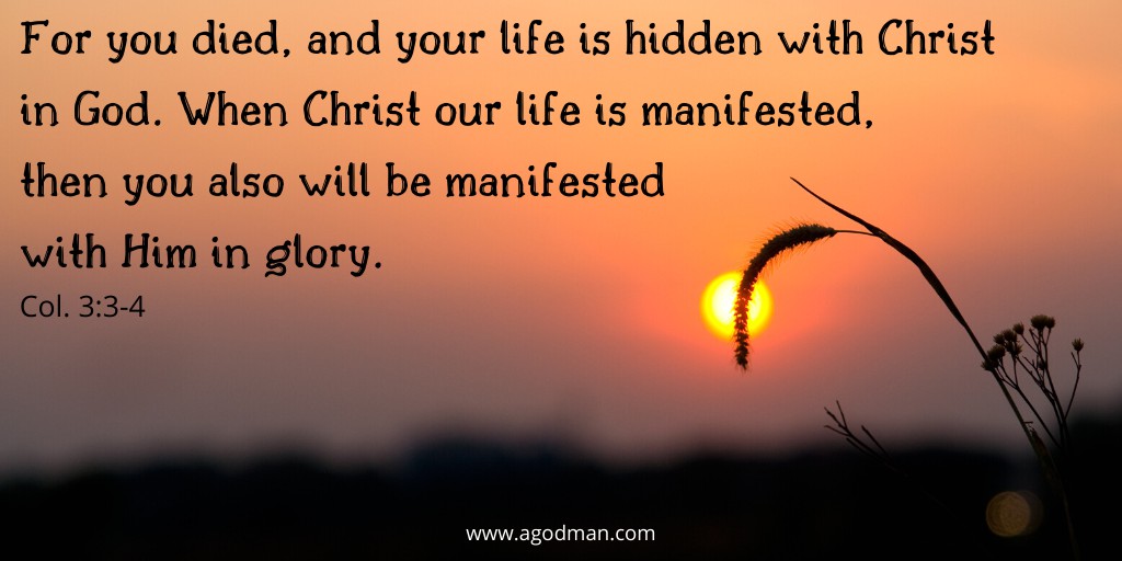 For you died, and your life is hidden with Christ in God. When Christ our life is manifested, then you also will be manifested with Him in glory. Col. 3:3-4