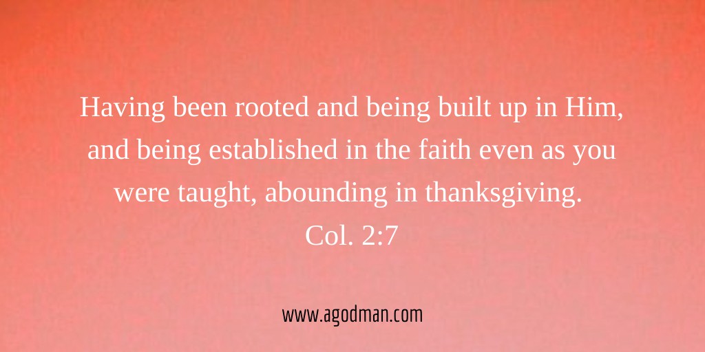 Having been rooted and being built up in Him, and being established in the faith even as you were taught, abounding in thanksgiving. Col. 2:7