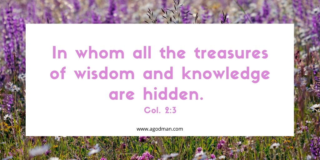 In whom all the treasures of wisdom and knowledge are hidden. Col. 2:3