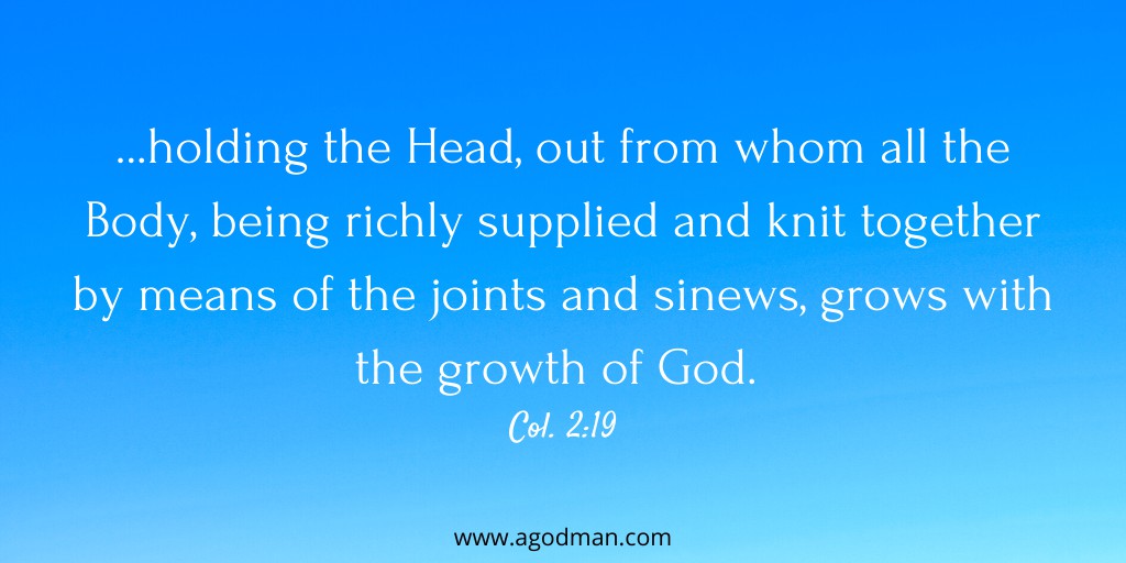 ...holding the Head, out from whom all the Body, being richly supplied and knit together by means of the joints and sinews, grows with the growth of God. Col. 2:19