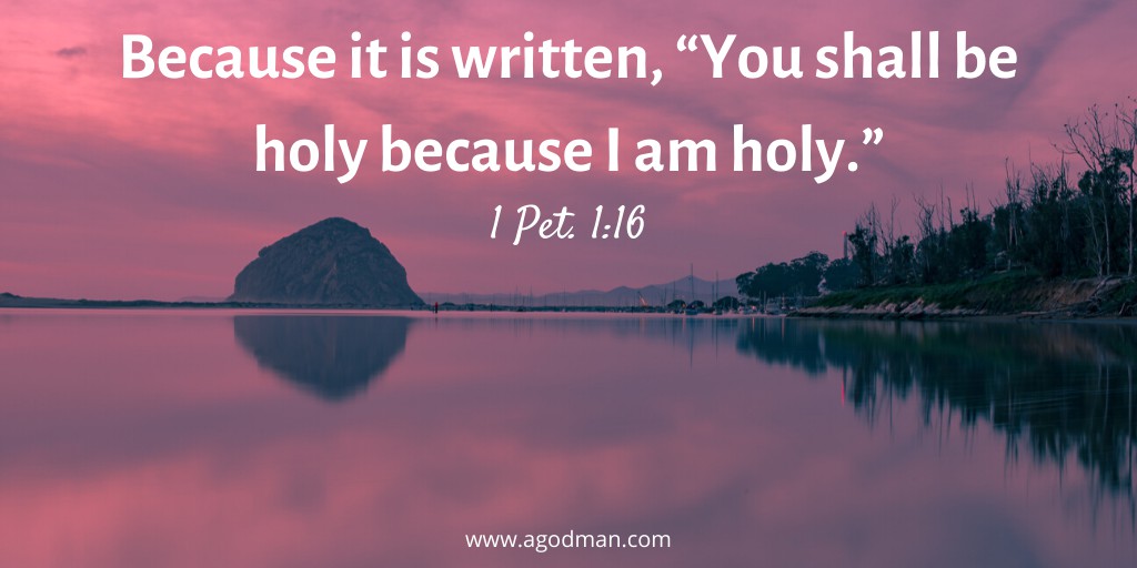 Because it is written, “You shall be holy because I am holy.” 1 Pet. 1:16