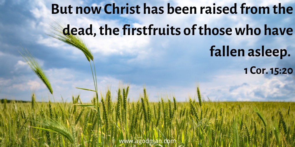 But now Christ has been raised from the dead, the firstfruits of those who have fallen asleep. 1 Cor. 15:20