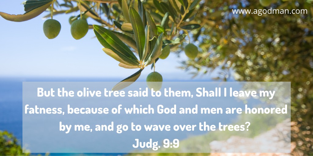 But the olive tree said to them, Shall I leave my fatness, because of which God and men are honored by me, and go to wave over the trees? Judg. 9:9