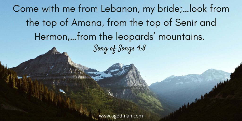 Come with me from Lebanon, my bride;…look from the top of Amana, from the top of Senir and Hermon,…from the leopards’ mountains. Song of Songs 4:8