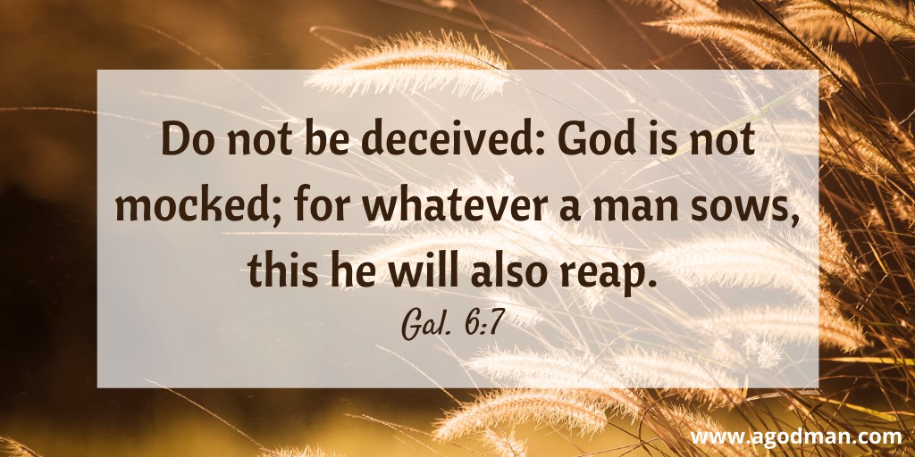 Do not be deceived: God is not mocked; for whatever a man sows, this he will also reap. Gal. 6:7