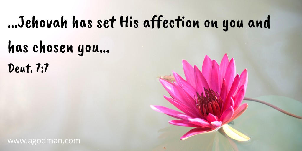 …Jehovah has set His affection on you and has chosen you… Deut. 7:7