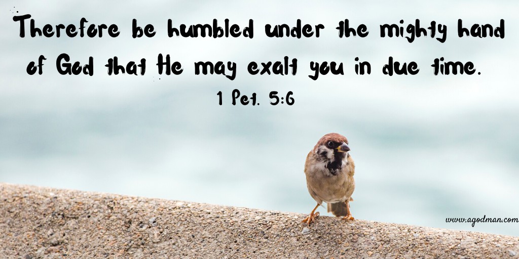 Therefore be humbled under the mighty hand of God that He may exalt you in due time. 1 Pet. 5:6