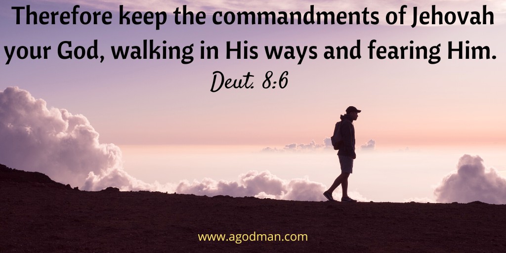 Therefore keep the commandments of Jehovah your God, walking in His ways and fearing Him. Deut. 8:6