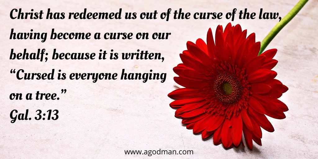 Christ has redeemed us out of the curse of the law, having become a curse on our behalf; because it is written, “Cursed is everyone hanging on a tree.” Gal. 3:13