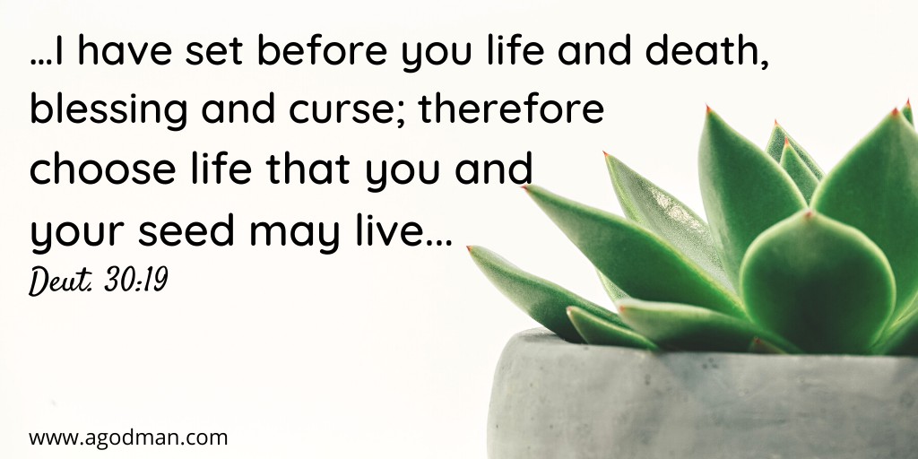 …I have set before you life and death, blessing and curse; therefore choose life that you and your seed may live... Deut. 30:19