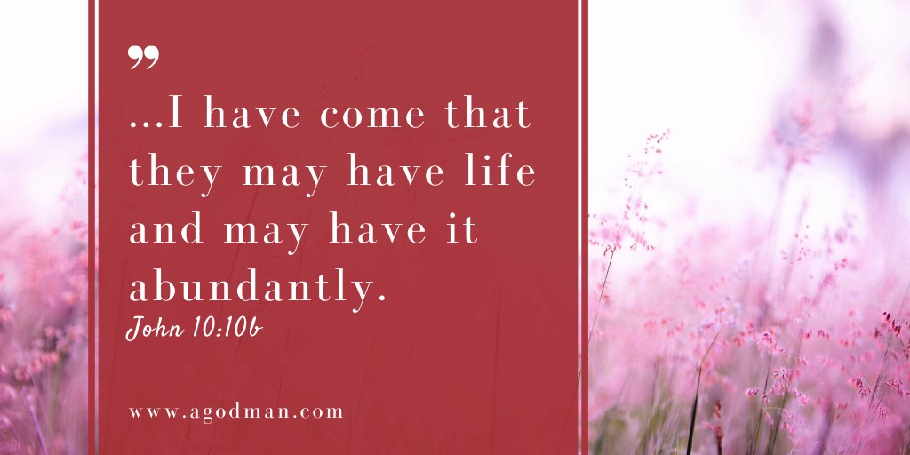 ...I have come that they may have life and may have it abundantly. John 10:10b
