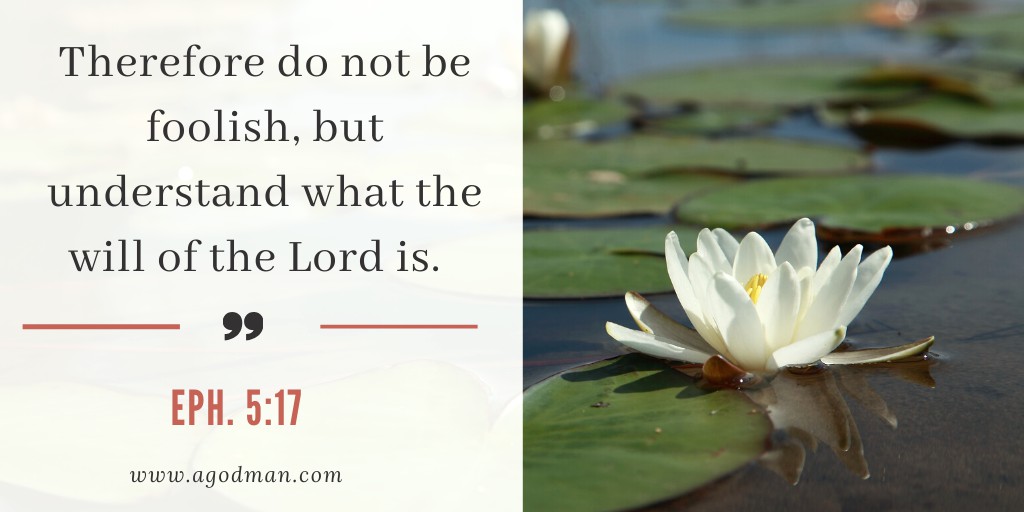 Therefore do not be foolish, but understand what the will of the Lord is. Eph. 5:17 - We need to Know what is the Will of God: God Works Himself into us for the Church
