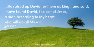 …He raised up David for them as king…and said, I have found David, the son of Jesse, a man according to My heart, who will do all My will. Acts 13:22