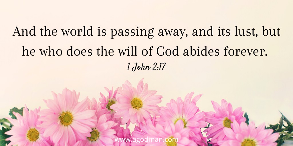 And the world is passing away, and its lust, but he who does the will of God abides forever. 1 John 2:17