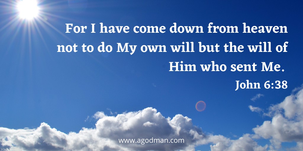 For I have come down from heaven not to do My own will but the will of Him who sent Me. John 6:38
