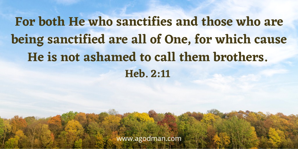 For both He who sanctifies and those who are being sanctified are all of One, for which cause He is not ashamed to call them brothers. Heb. 2:11