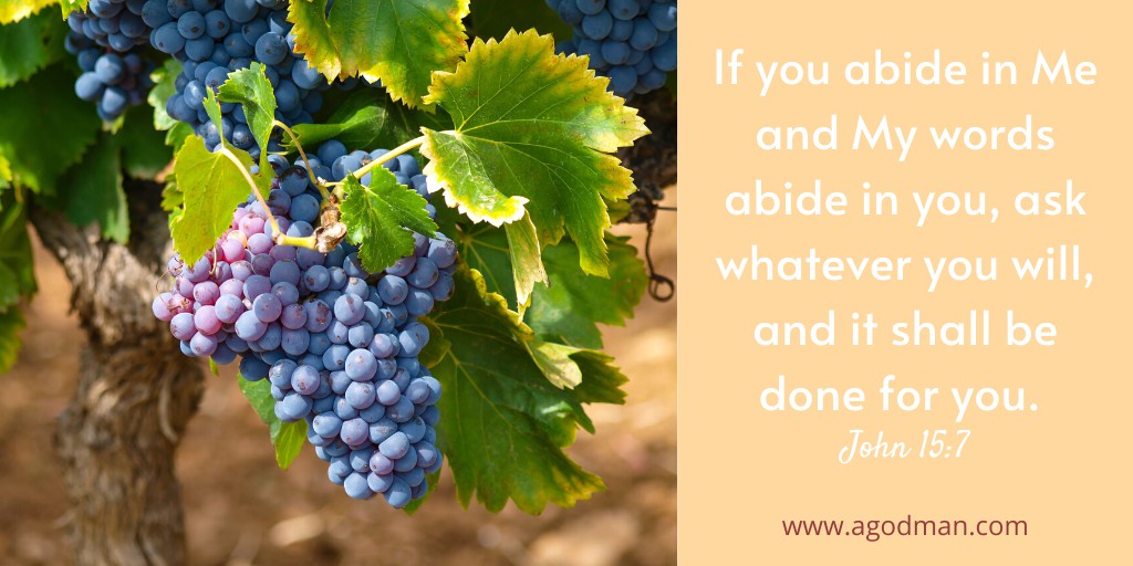 If you abide in Me and My words abide in you, ask whatever you will, and it shall be done for you. John 15:7
