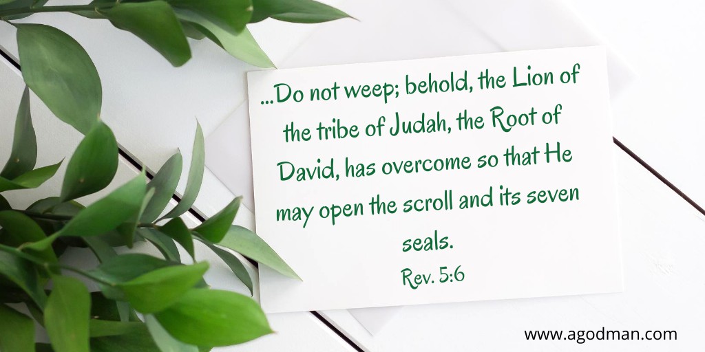 ...Do not weep; behold, the Lion of the tribe of Judah, the Root of David, has overcome so that He may open the scroll and its seven seals. Rev. 5:6