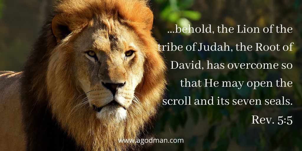 ...behold, the Lion of the tribe of Judah, the Root of David, has overcome so that He may open the scroll and its seven seals. Rev. 5:5