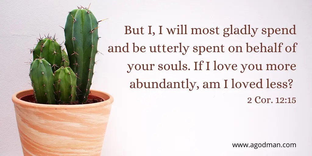 But I, I will most gladly spend and be utterly spent on behalf of your souls. If I love you more abundantly, am I loved less? 2 Cor. 12:15