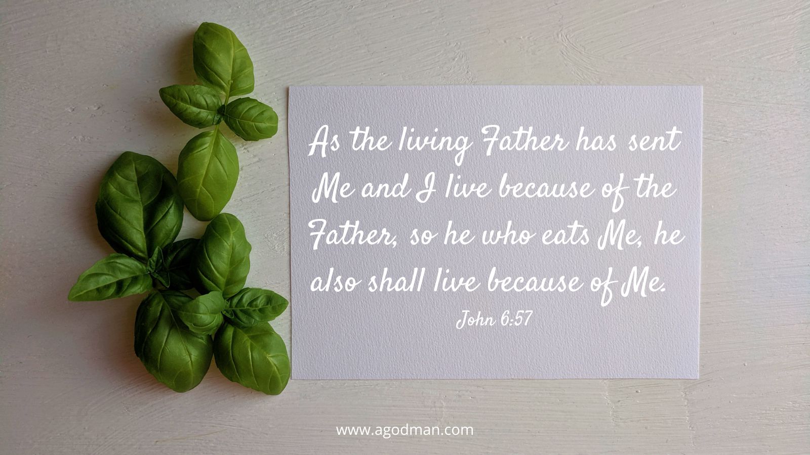 As the living Father has sent Me and I live because of the Father, so he who eats Me, he also shall live because of Me. John 6:57