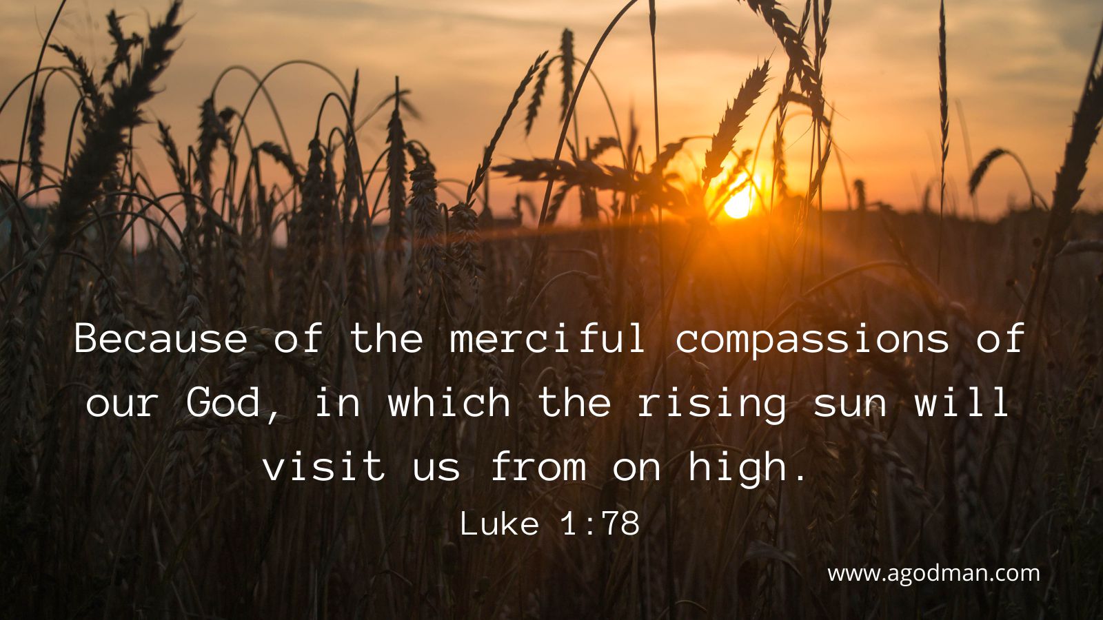 Because of the merciful compassions of our God, in which the rising sun will visit us from on high. Luke 1:78