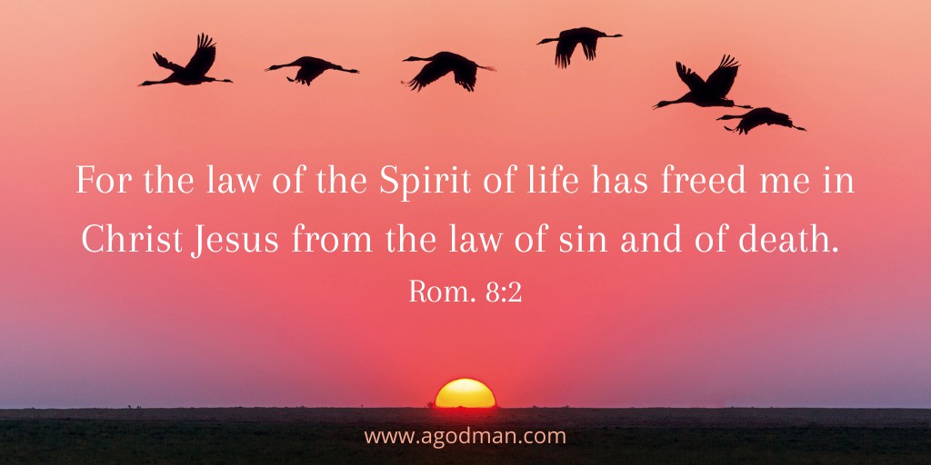 For the law of the Spirit of life has freed me in Christ Jesus from the law of sin and of death. Rom. 8:2