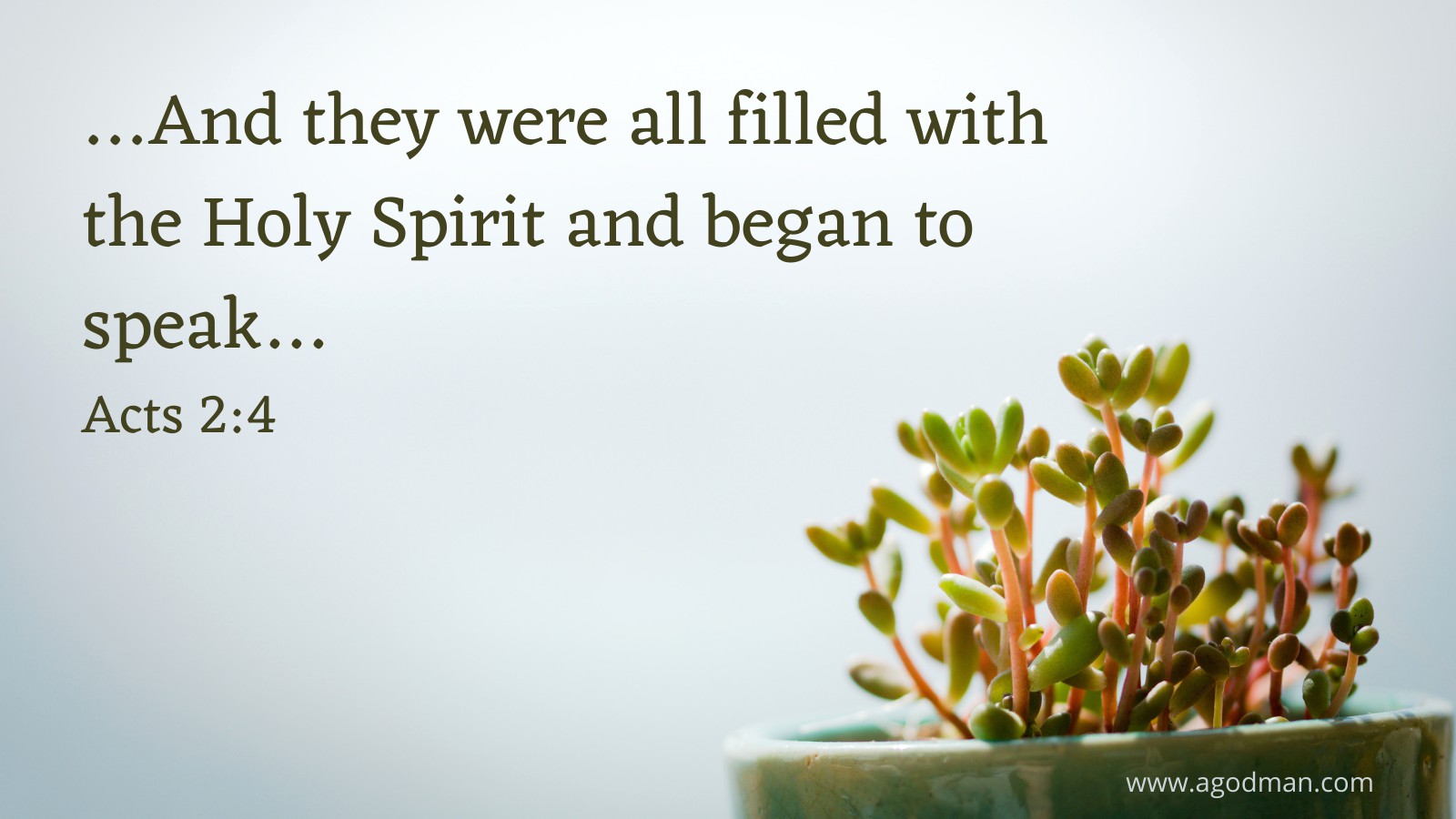 …And they were all filled with the Holy Spirit and began to speak… Acts 2:4