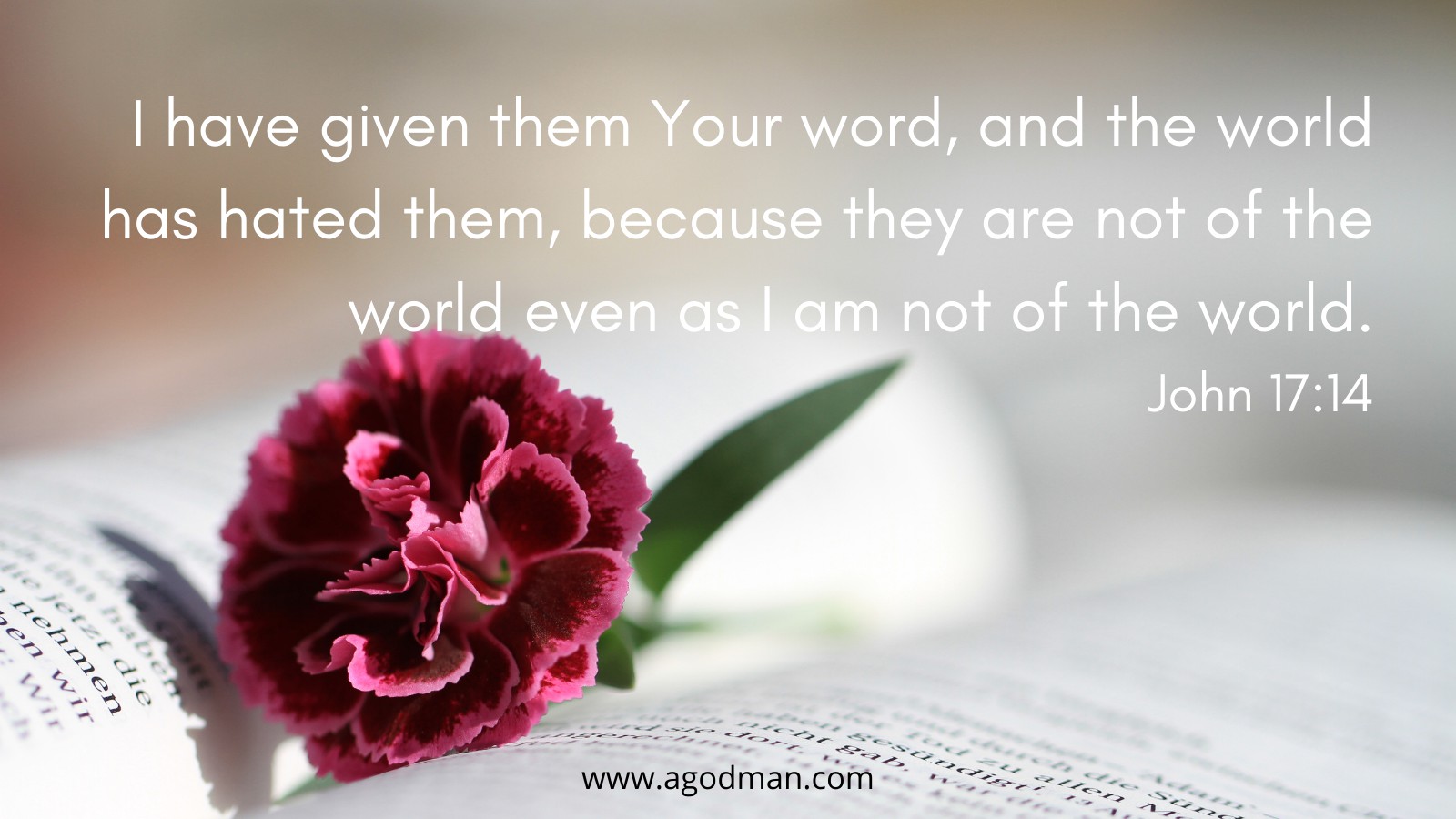 I have given them Your word, and the world has hated them, because they are not of the world even as I am not of the world. John 17:14