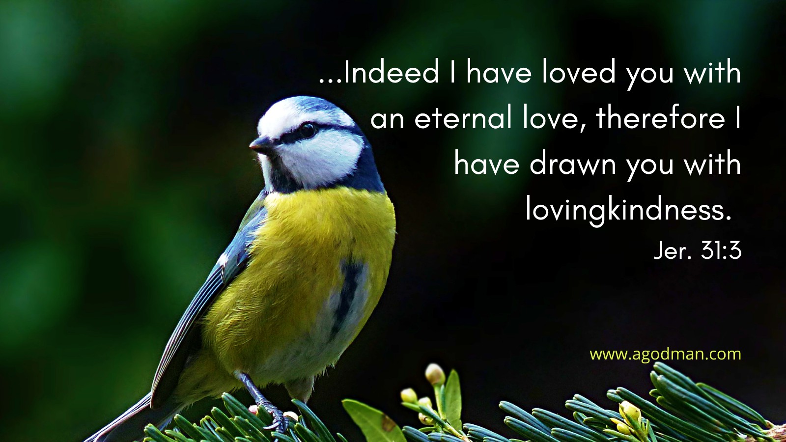 ...Indeed I have loved you with an eternal love, therefore I have drawn you with lovingkindness. Jer. 31:3