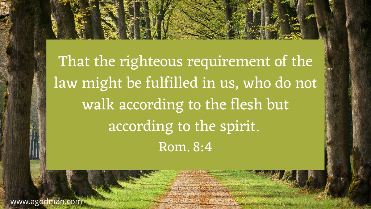 That the righteous requirement of the law might be fulfilled in us, who do not walk according to the flesh but according to the spirit. Rom. 8:4