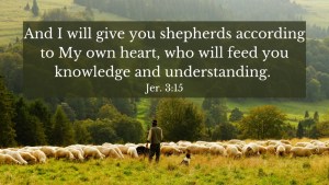 And I will give you shepherds according to My own heart, who will feed you knowledge and understanding. Jer. 3:15