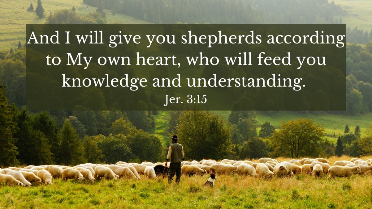 And I will give you shepherds according to My own heart, who will feed you knowledge and understanding. Jer. 3:15