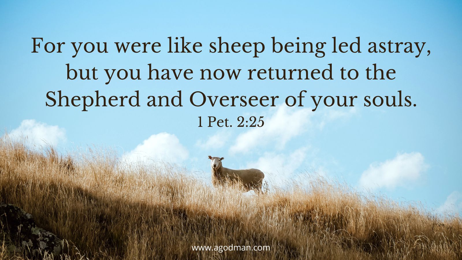 For you were like sheep being led astray, but you have now returned to the Shepherd and Overseer of your souls. 1 Pet. 2:25