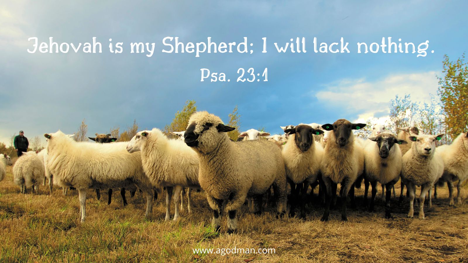 Jehovah is my Shepherd; I will lack nothing. Psa. 23:1
