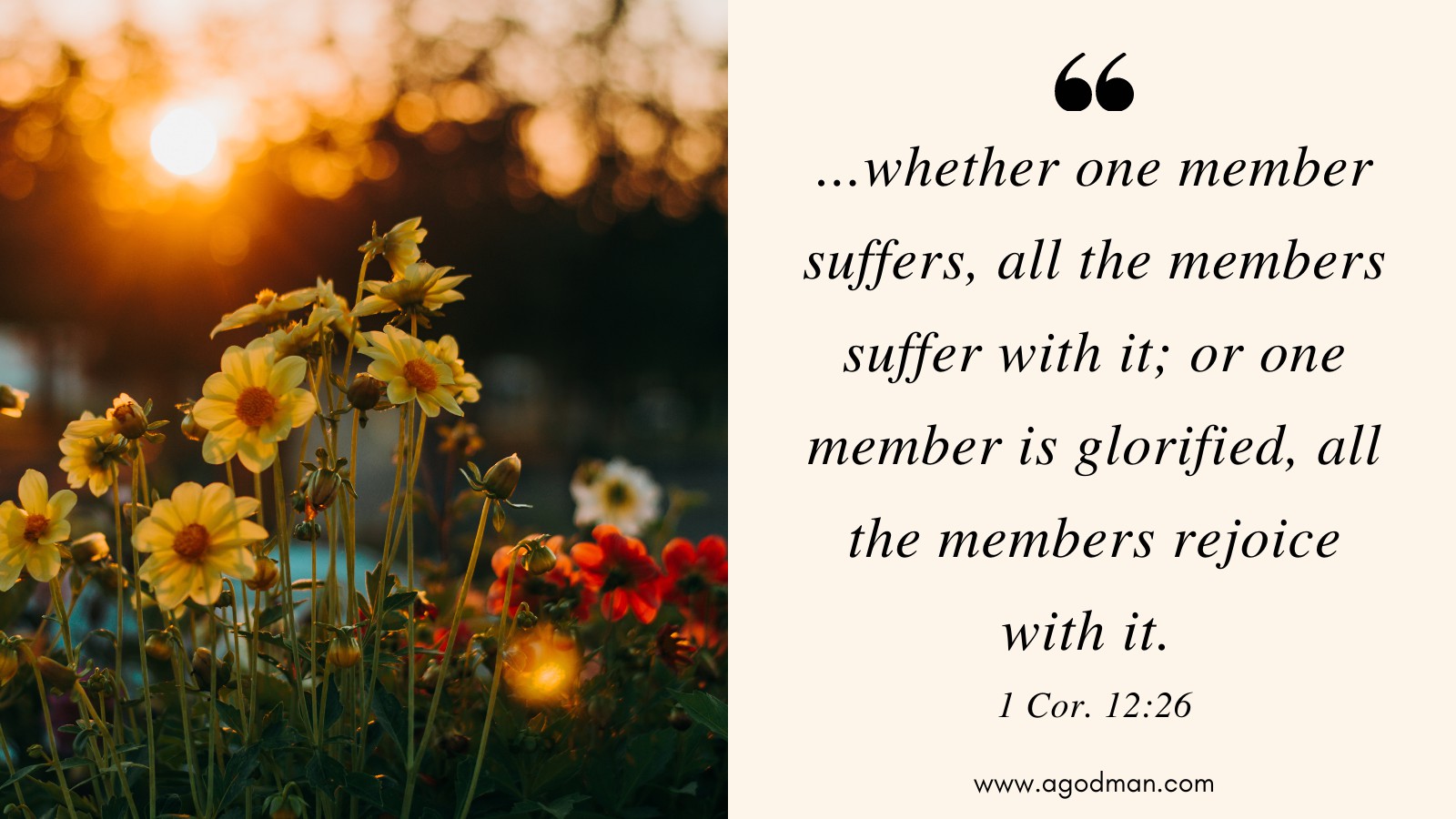 ...whether one member suffers, all the members suffer with it; or one member is glorified, all the members rejoice with it. 1 Cor. 12:26