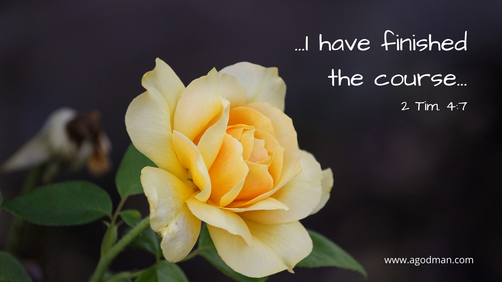 ...I have finished the course... 2 Tim. 4:7