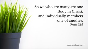 So we who are many are one Body in Christ, and individually members one of another. Rom. 12:5