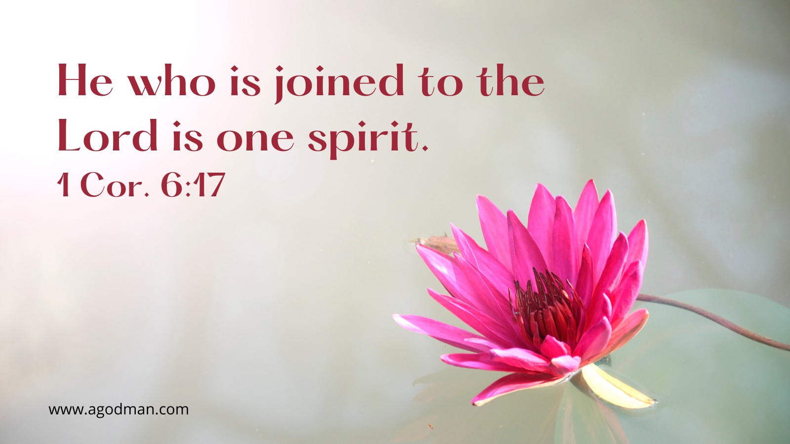 He who is joined to the Lord is one spirit. 1 Cor. 6:17