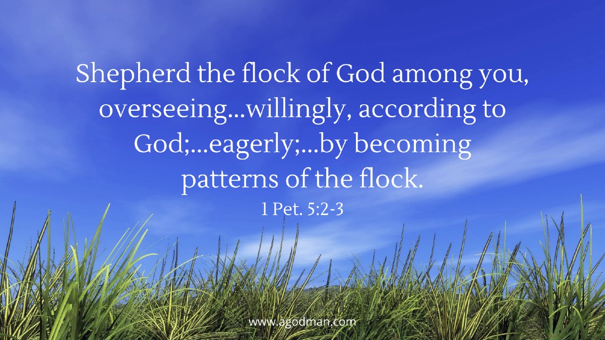 Shepherd the flock of God among you, overseeing...willingly, according to God;...eagerly;... by becoming patterns of the flock. 1 Pet. 5:2-3