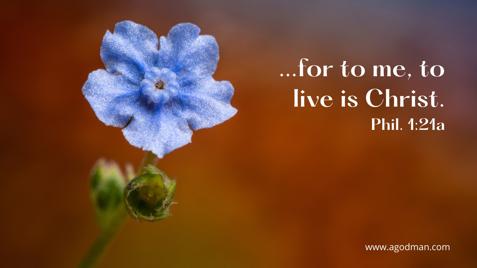 ...for to me, to live is Christ. Phil. 1:21a