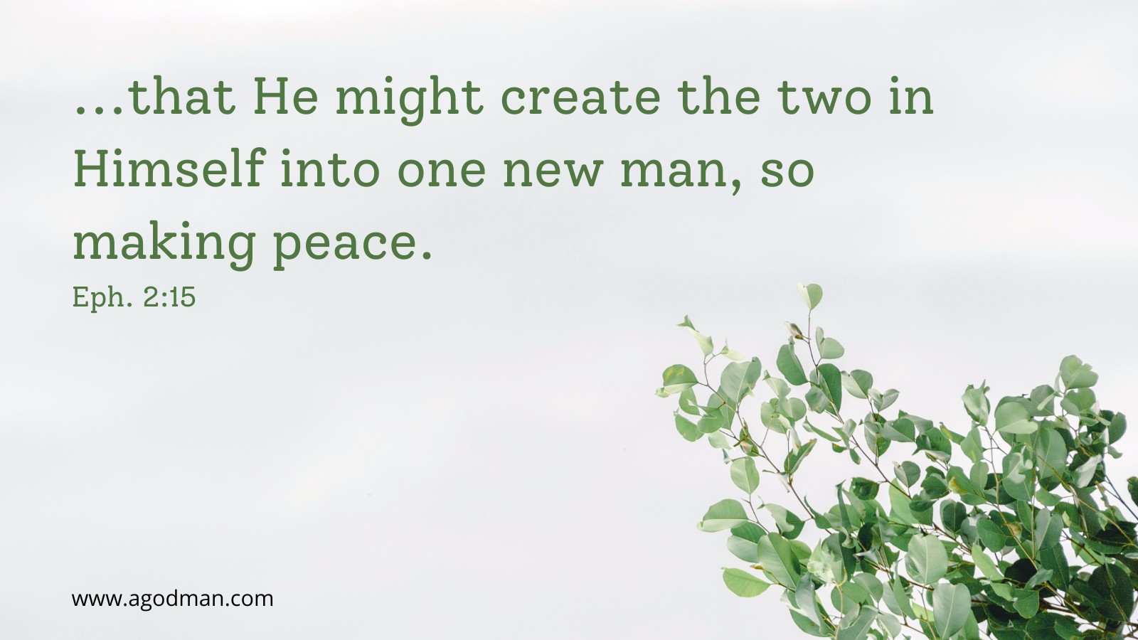 ...that He might create the two in Himself into one new man, so making peace. Eph. 2:15