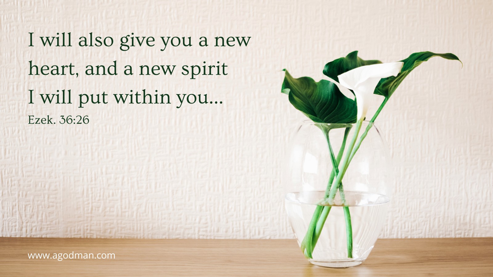 I will also give you a new heart, and a new spirit I will put within you... Ezek. 36:26